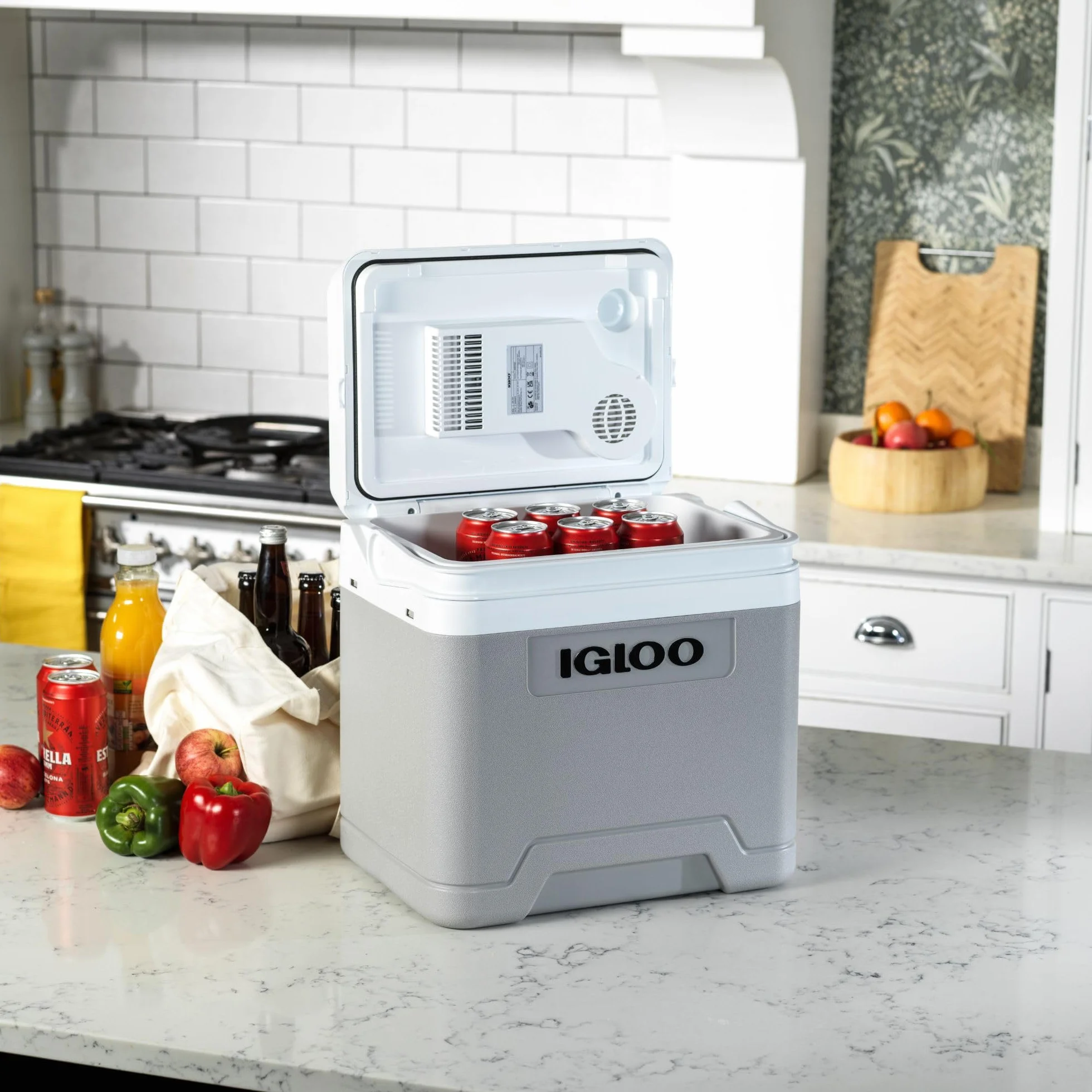 IGLOO IE24DC elektryczna lodówka turystyczna 12V, 24L – kompaktowa lodówka samochodowa na kemping, wakacje, łódź i festiwale, lekka i przenośna, z praktycznym schowkiem na kabel