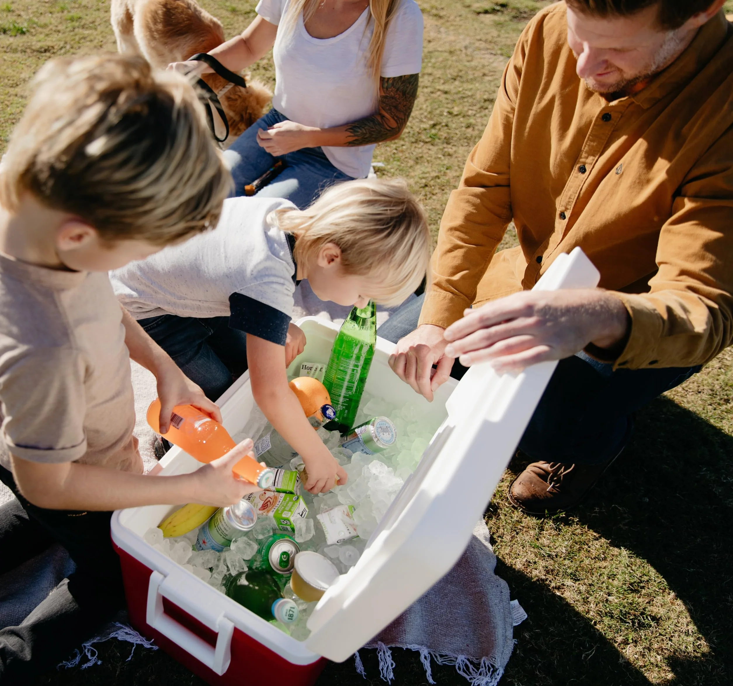 Igloo Lodówka pasywna Laguna 48, duża, lekka lodówka termiczna na kemping, czas wolny, łódź i festiwal, 45 litrów