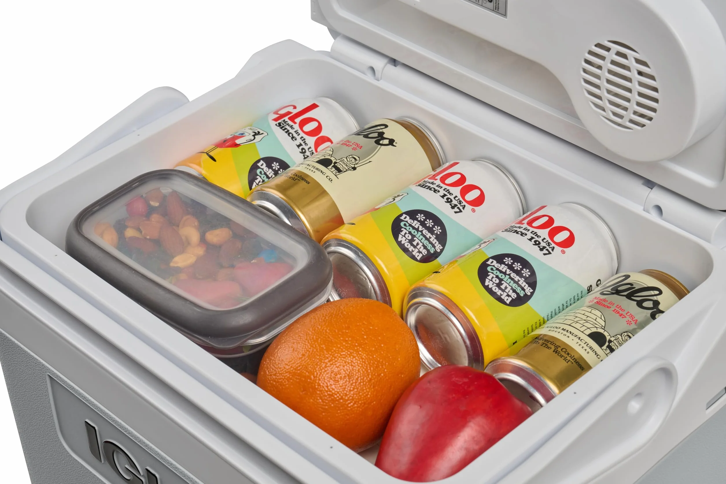 IGLOO IE24DC elektryczna lodówka turystyczna 12V, 24L – kompaktowa lodówka samochodowa na kemping, wakacje, łódź i festiwale, lekka i przenośna, z praktycznym schowkiem na kabel
